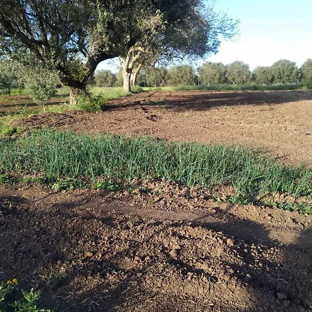 Ferienhaus In Daffina - Kalabrien 42705 Zaccanopoli
